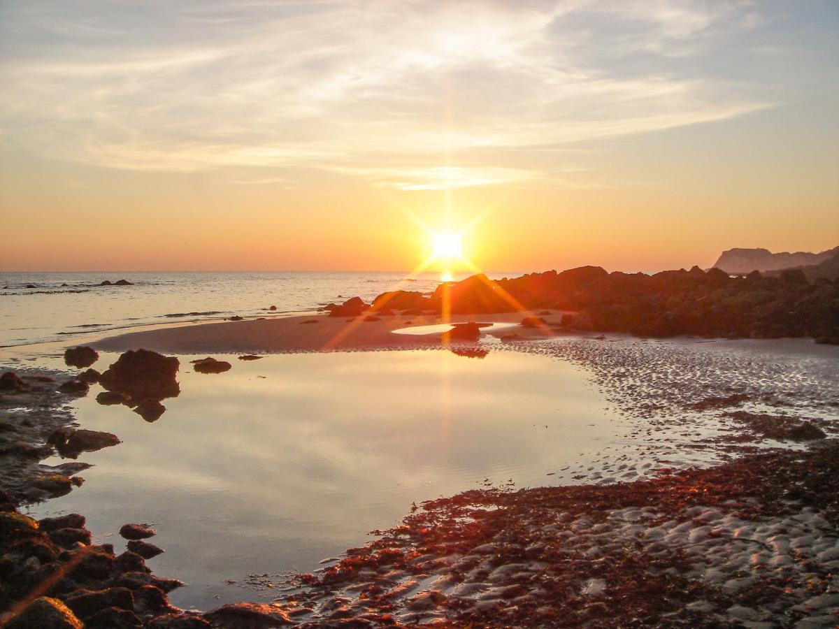 1 Tulse Hill Cottages Ventnor Eksteriør bilde